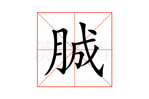 𦛙