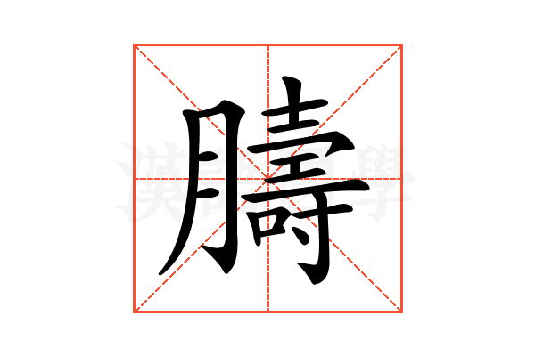 𦡴
