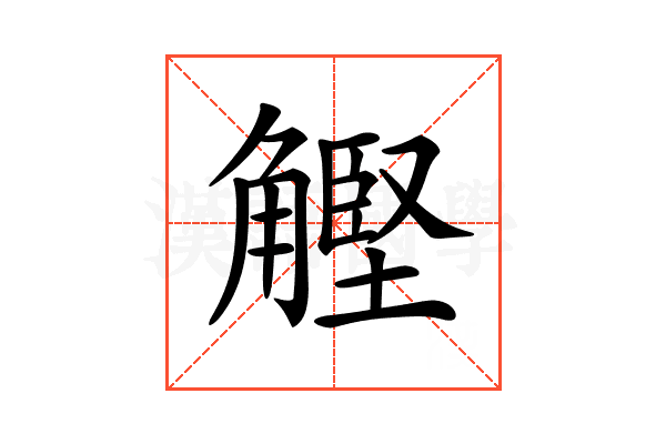 𧤵