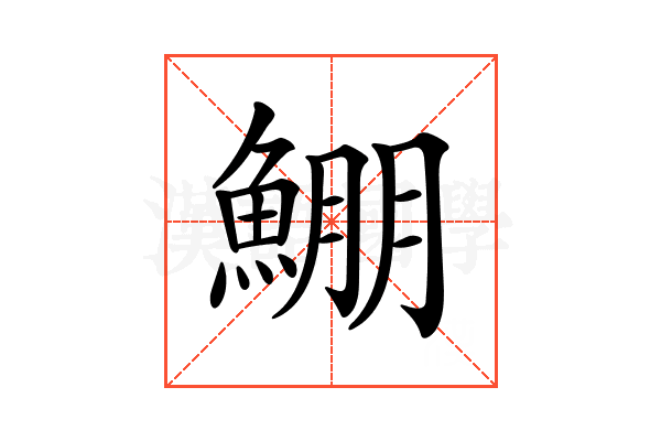 𩸀
