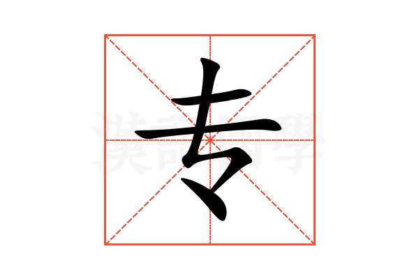 专