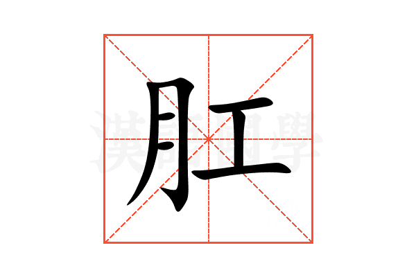 肛