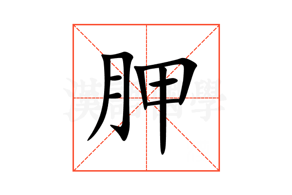 胛