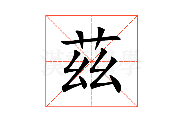 茲