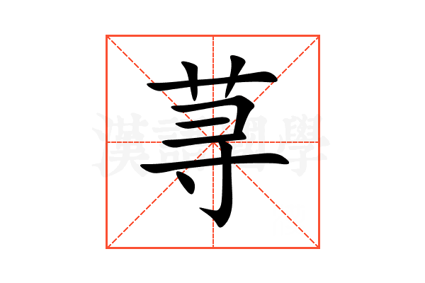荨