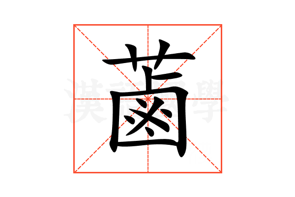 蓾