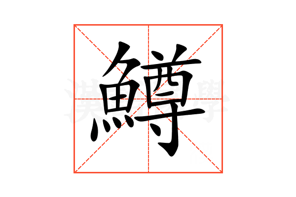 鱒