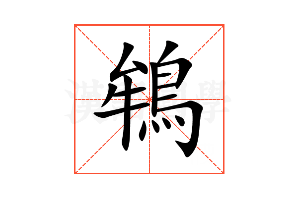 鴾