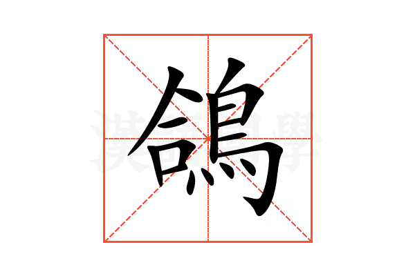 鴿