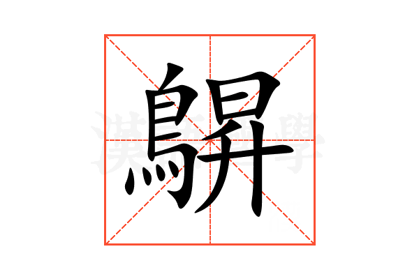 鵿
