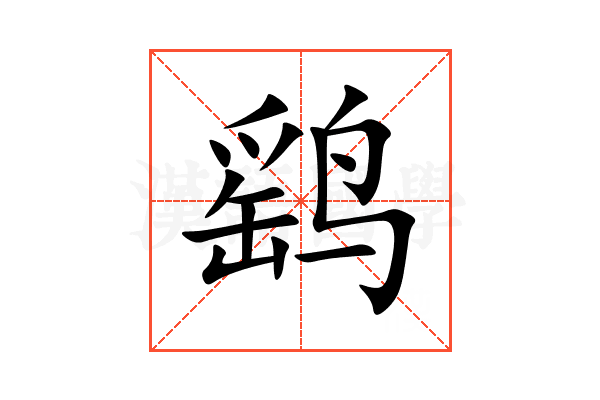 鹞